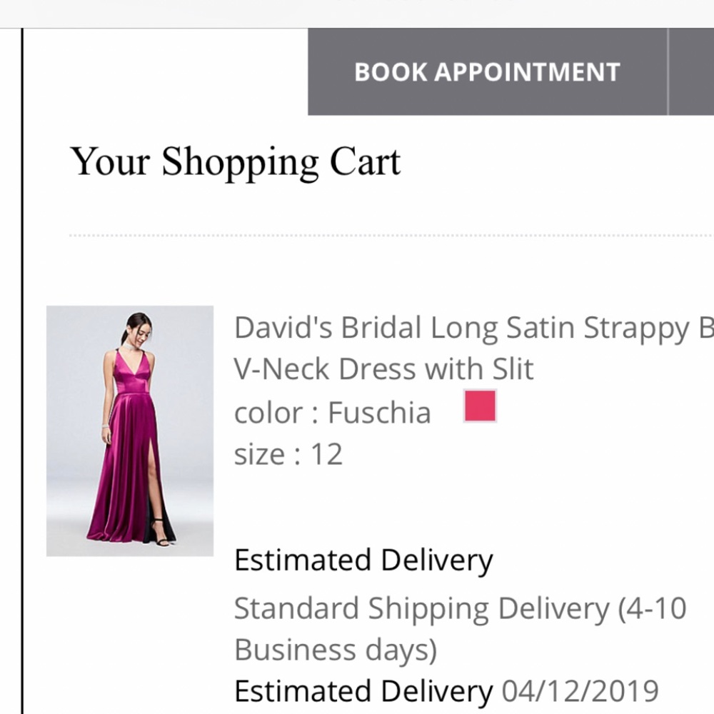 David’s Bridal Floor Length With Pockets Formal-F… - image 2